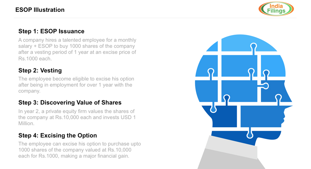 employee stock options india private companies