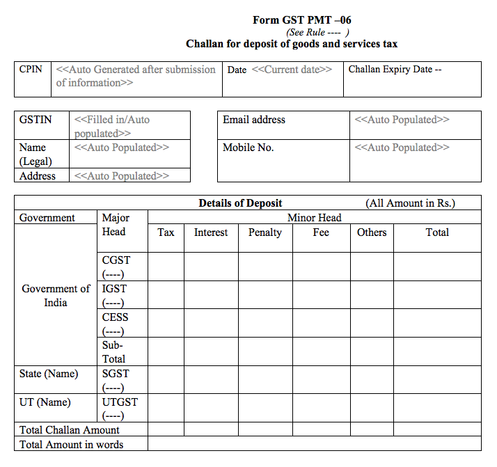 GST Form PMT-06 - Part A