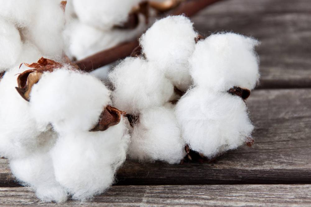 GST-on-Cotton-Yarn