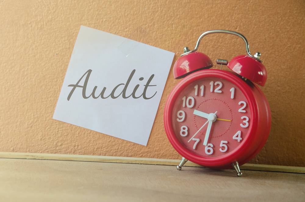 Who is required to undergo a tax audit as per Section 44AB?
