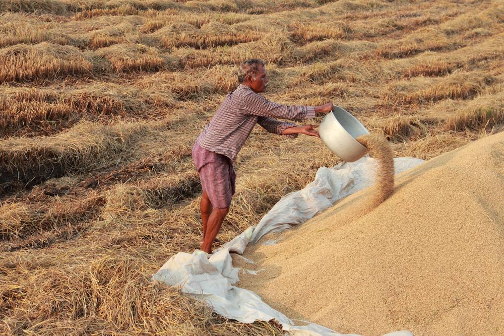 Karnataka Gruhalaxmi Crop Loan Scheme