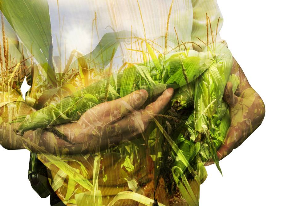 WB Bangla Shasya Bima Yojana