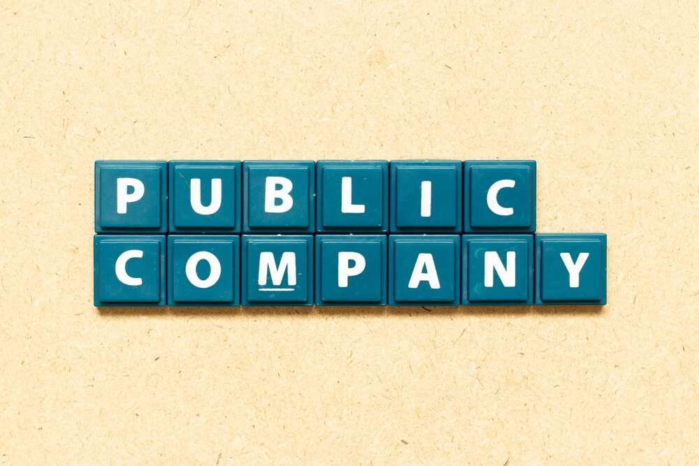 Public Company in India
