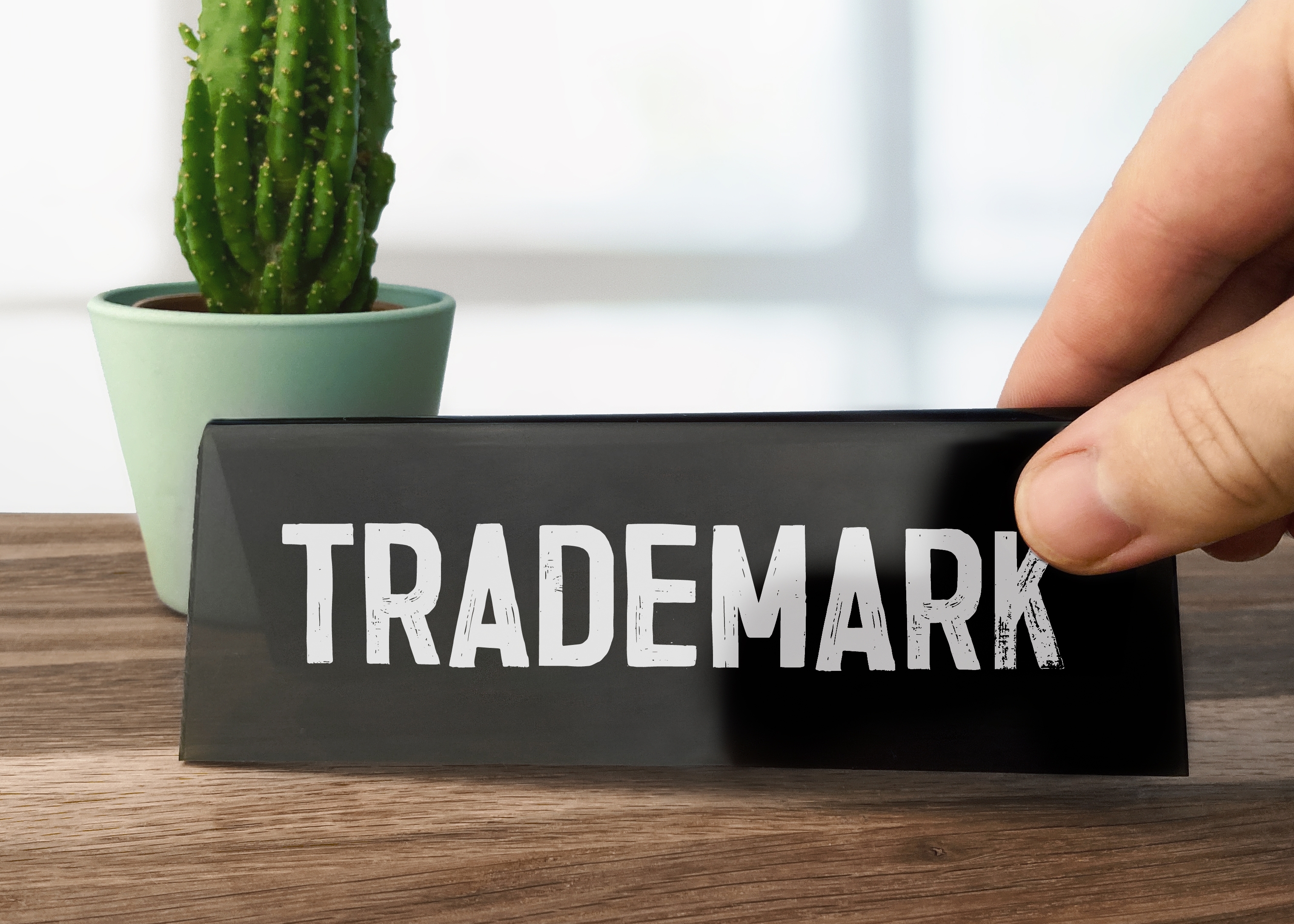 What is a Trademark in the US?